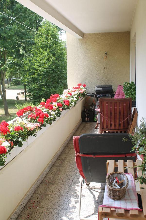 Bed & Breakfast Bonn 24 Mai Bis14 Juni Mit Hund In Der Wohnung Bagian luar foto