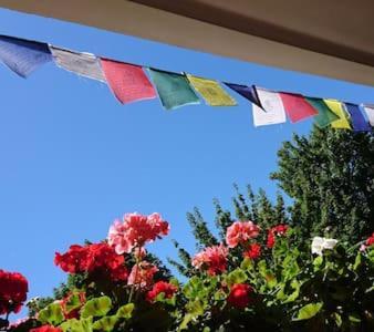Bed & Breakfast Bonn 24 Mai Bis14 Juni Mit Hund In Der Wohnung Bagian luar foto